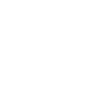 ico26
