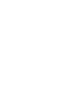 ico20